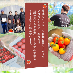 ミニトマト「トマ・ランタン」約3kg | VegeRise