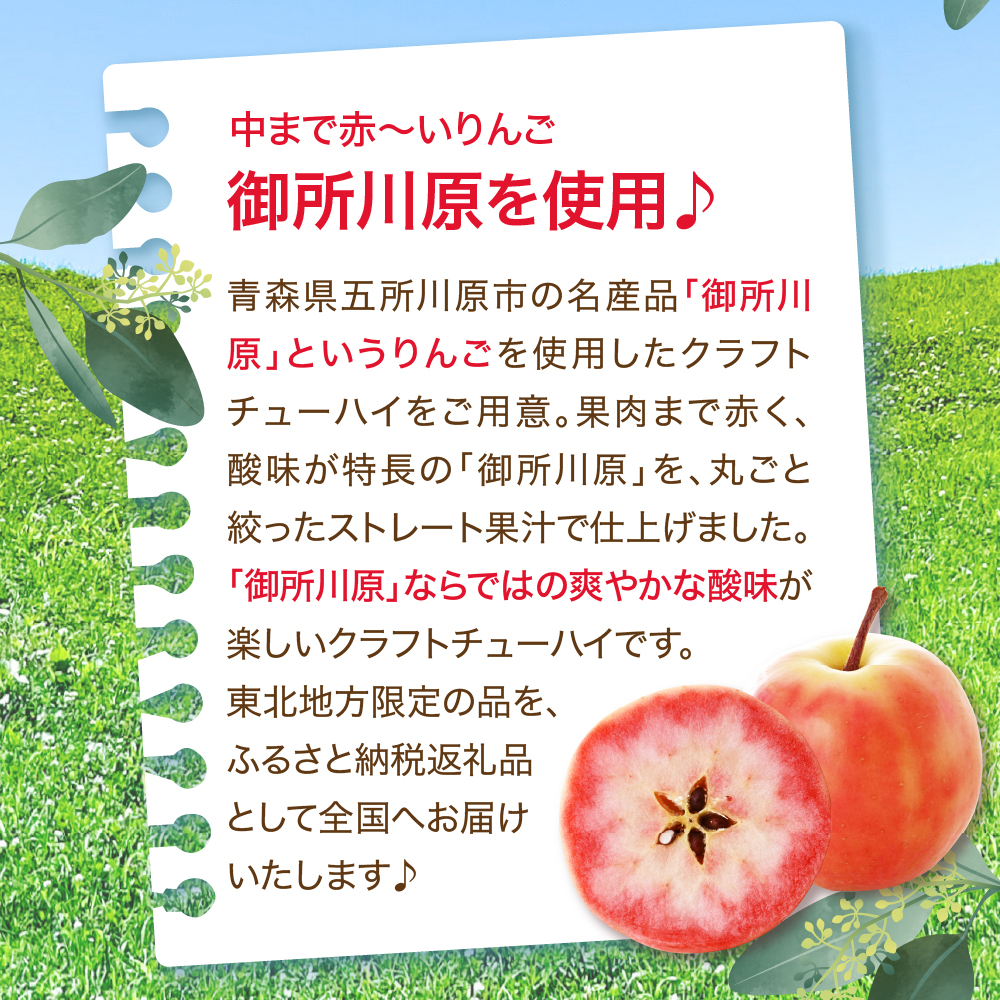 寶CRAFT りんごチューハイ (alc.8%) 330ml×12本 ＜ 中まで赤～いりんご使用 ＞ 【 酒 アルコール 宝酒造 りんごスピリッツ チューハイ 寶クラフト 御所川原 五所川原 】