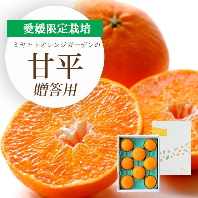 【2026年2月より順次発送】愛媛限定栽培柑橘 甘平(かんぺい) ギフトボックス入り【D25−99】【1360088】
