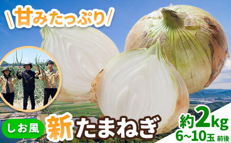 しお風新たまねぎ 約2kg《5月中旬-5月末頃出荷》｜玉ねぎ玉ねぎ玉ねぎ玉ねぎ