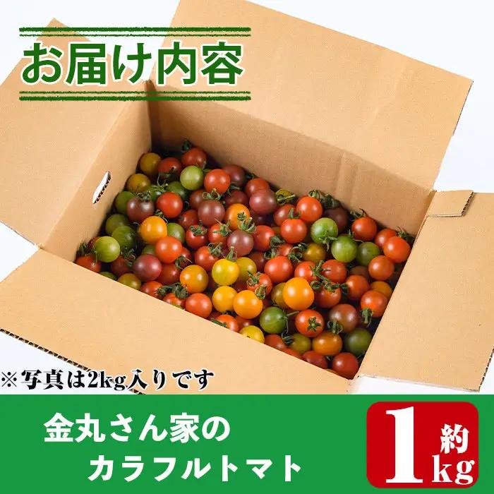 ＜先行予約受付中！2026年11月から順次発送予定＞カラフルトマト食べ比べセット(約1kg)  国産 野菜【KT-9】【K.Tfarm】
