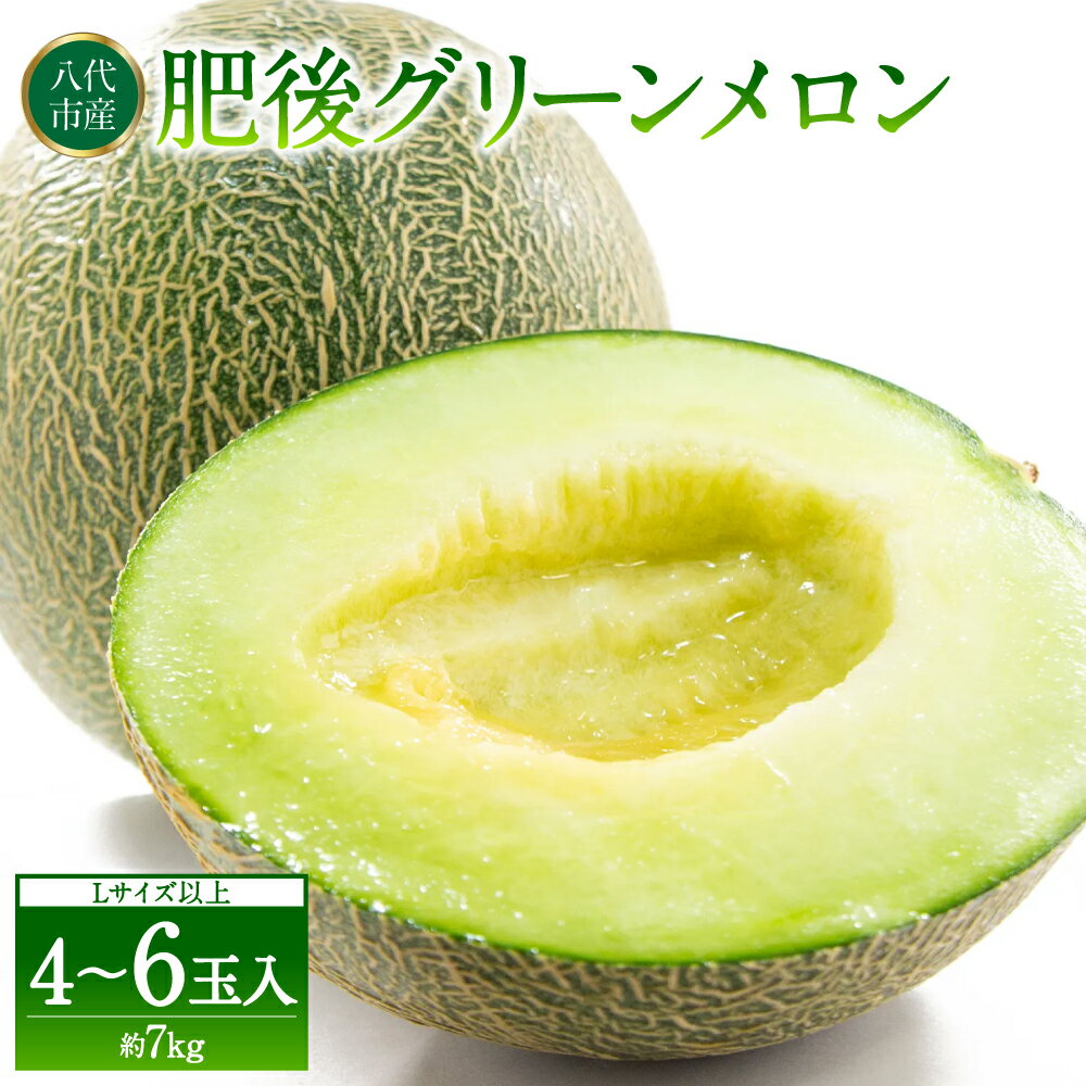 【ふるさと納税】 【先行予約】 熊本県八代市産 肥後グリーンメロン L以上 4～6玉 約7kg 青肉メロン 果物 くだもの フルーツ デザート メロン 肥後グリーン 熊本メロン ジューシー 旬 お取り寄せ 贈り物 ギフト 送料無料 【2026年6月上旬より順次発送】