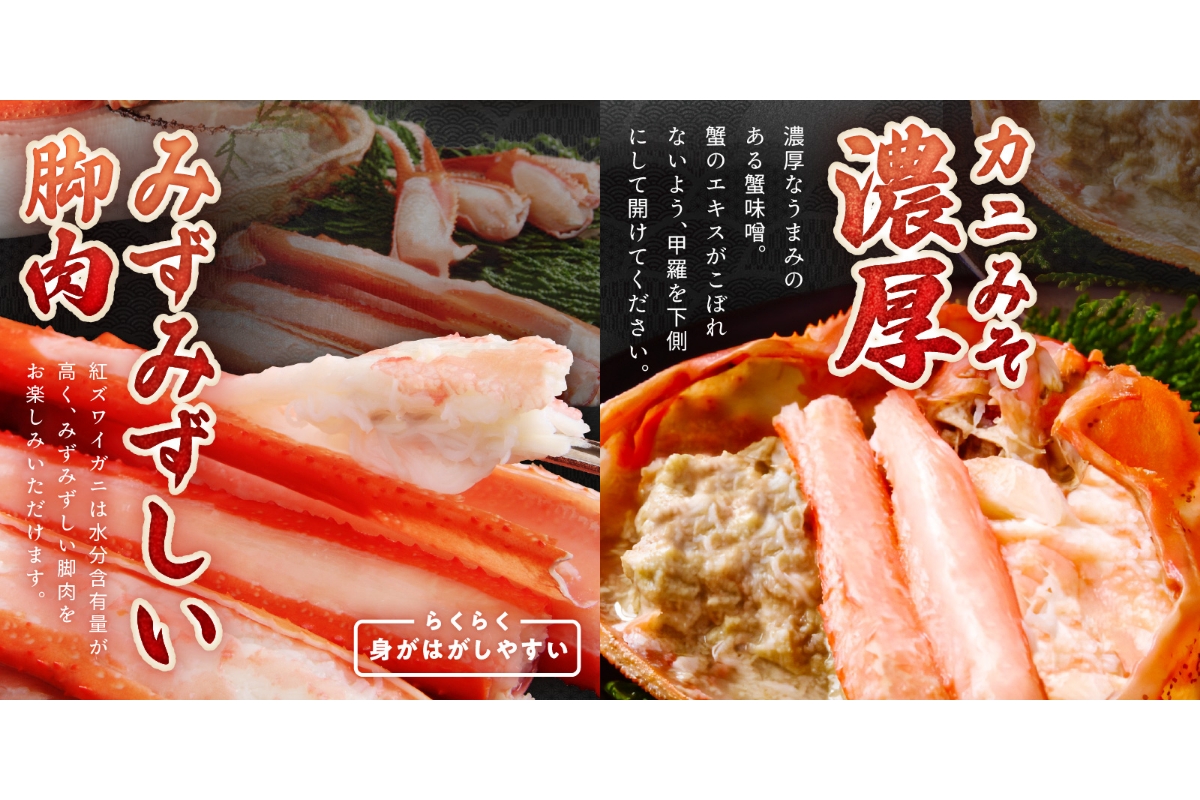 採れたて！釜茹で！　紅ズワイガニ　3杯　YK00136