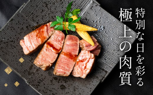 飛騨牛 ヒレステーキ 150g×2枚 1枚 150g A5 希少部位 ヒレ肉 牛ヒレ 冷凍 ｜ 飛騨牛 ステーキ 牛肉 ステーキ ステーキ ヒレ ステーキ肉 ステーキ a5 飛騨牛 A5 飛騨牛 ヒレ