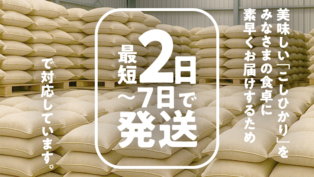 ＼ 最短 2日で発送 ／ コシヒカリ 10kg 令和6年産精米【 数量限定 】茨城県つくばみらい市産 米 コメ 単一米 24000 茨城県産 国産 即納 スピード配送 すぐ届く 発送 早い 即発送 コ