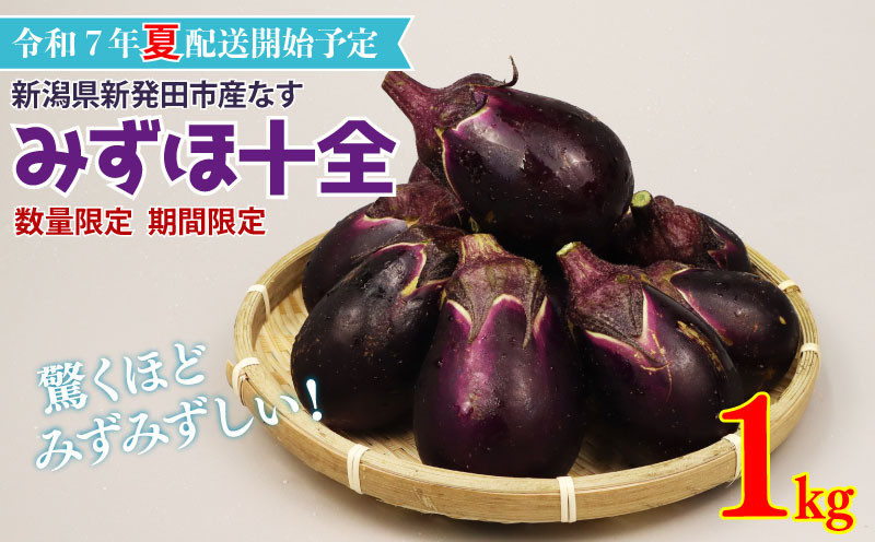 
            先行予約 なす 1kg （ 約 15個 ）みずほ十全 野菜 旬 旬の野菜 期間限定 数量限定 【 新潟県 新発田産 のぞみふぁーむ ナス 農福連携 先行予約 1kg  甘い 柔らかい 十全なす 小茄子 特産品 nozofarm002 】
          