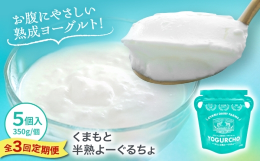 【全3回定期便】オオヤブデイリーファーム くまもと半熟よーぐるちょ 350g×5個 ヨーグルト 乳製品【株式会社 オオヤブデイリーファーム】 デザート おやつ よーぐるちょ 朝食 昼食 夕食 よーぐると ヨーグルト [AYAE005]