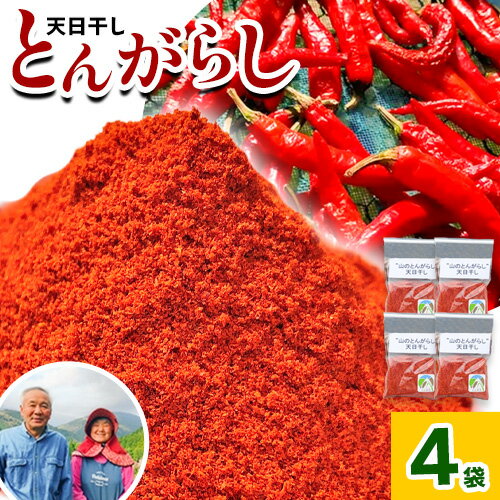 【ふるさと納税】とんがらし 4袋 約20g×4袋 西村農園《30日以内に出荷予定(土日祝除く)》徳島県 美馬市 青果物 野菜 唐辛子 とうがらし