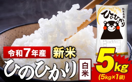 新米 令和7年産 白米 米 ひのひかり 5kg《12月中旬-2月末頃出荷》熊本県 菊池市 国産 熊本県産 白米 精米 送料無料 ヒノヒカリ こめ お米
