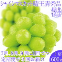 【ふるさと納税】2025年予約受付中【3回定期便】シャインマスカット晴王 1房 約600g 7月8月9月に出荷 人気 岡山県産 種無し 皮ごと食べる みずみずしい フレッシュ 晴れの国 おかやま 果物大国 ハレノフルーツ　お届け：2025年7月1日～2025年9月30日