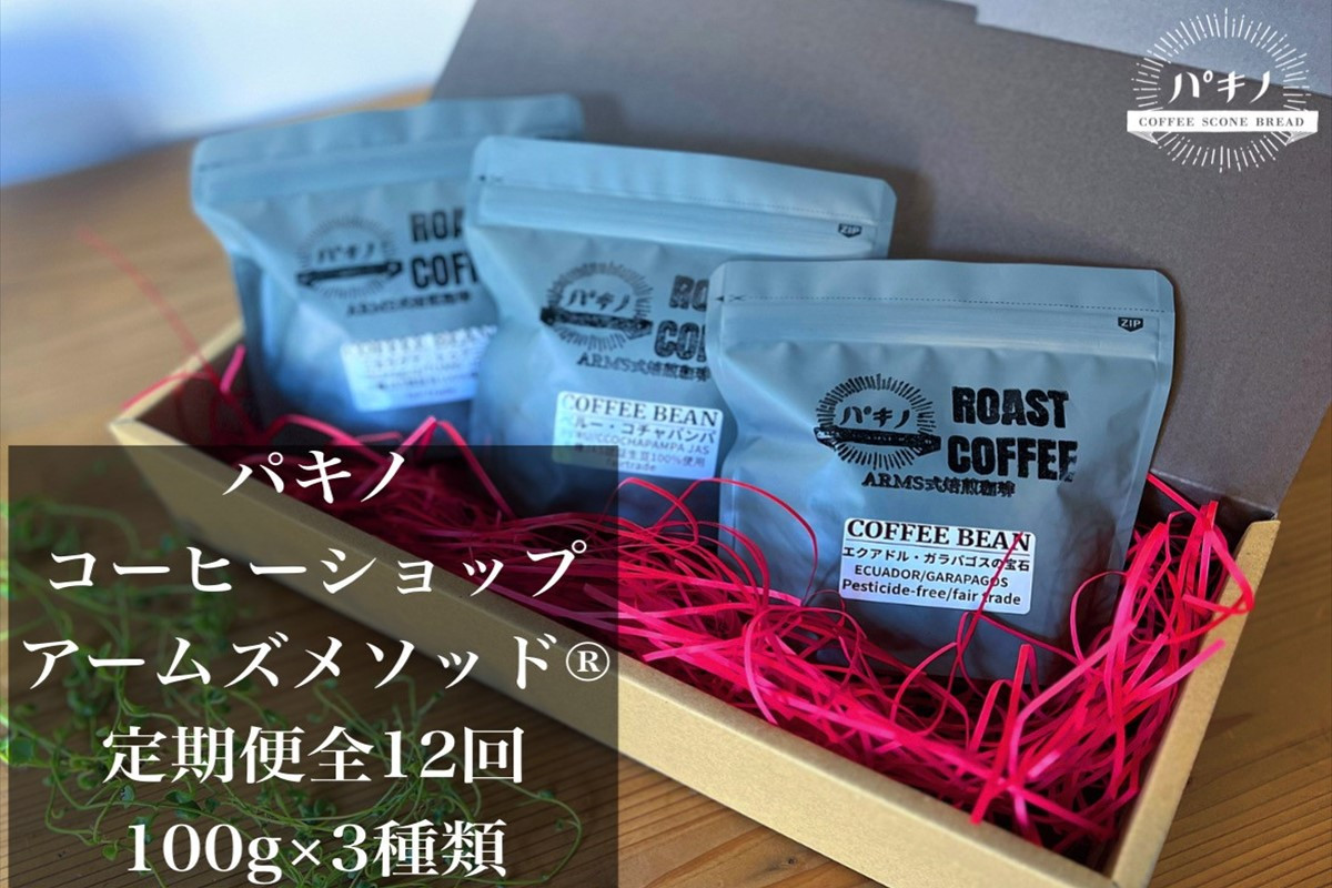 
定期便12回配送!アームズメソッド焙煎珈琲豆100g×3種類！ コーヒー 珈琲 コーヒー豆 焙煎 焙煎豆 定期便 定期 12回 【1799】
