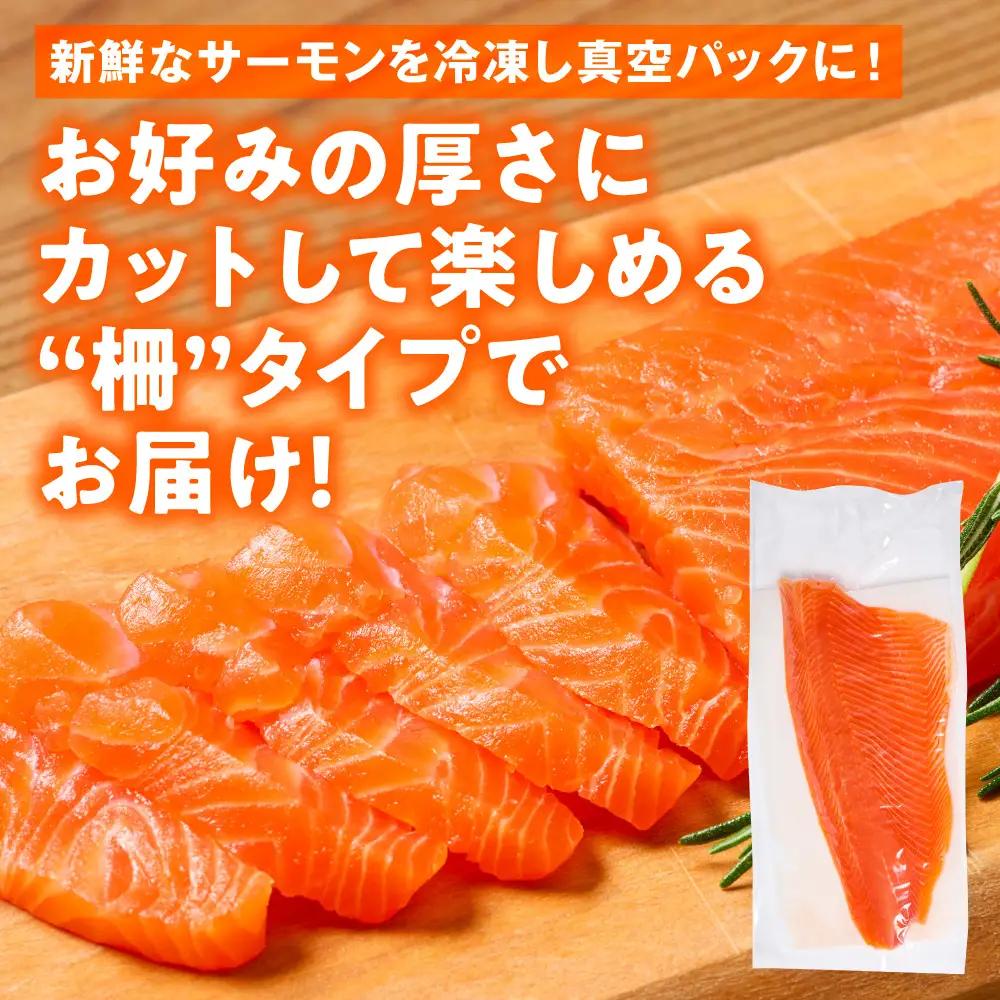 八代 教室育ち サーモン フィレ 300g以上 刺身 サーモン
