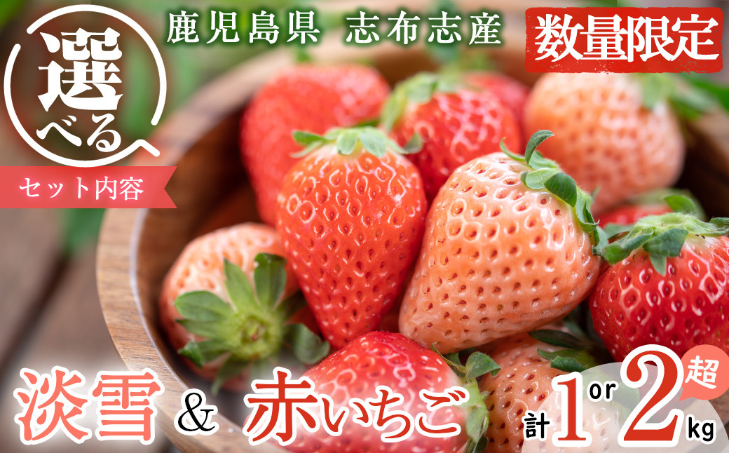 
            ＜先行予約受付中！R6年12月頃配送予定＞【セット内容と内容量が選べる！】【数量限定】鹿児島県産いちご！淡雪・赤いちご（計1～2kg・約270g×4P～8P）白いちご 淡雪 赤いちご いちご 苺 イチゴ セット 食べ比べ 1kg 2kg 志布志市
          