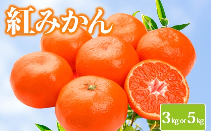 
            みかん 約3kg 約5kg 紅みかん 小原紅早生 柑橘 ミカン 蜜柑 オレンジ 果物 くだもの フルーツ 果実 ジューシー ジュース おやつ スイーツ デザート 家庭用 12月～ 順次発送 香川県 丸亀市
          