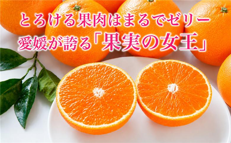 【先行受付】紅まどんな　化粧箱　秀3L～L　10～15玉　愛媛県　JAおちいまばり