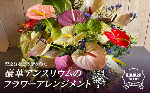 
                  豪華アンスリウムのフラワーアレンジメント FAF-0052
                