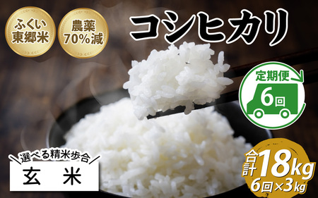 【先行予約】【定期便6ヶ月連続】【玄米】令和7年産 ふくい東郷米 特別栽培米 農薬70％減 コシヒカリ 3kg×6ヶ月 合計18kg [D-020010_02]