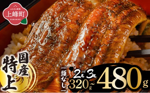 
                  【選べる容量】国産うなぎ蒲焼200g×2尾/160g×3尾/2尾（無頭）| 鰻 うなぎ ウナギ 国産鰻 国産うなぎ 丑の日 うなぎ蒲焼 蒲焼 鰻蒲焼き 蒲焼き かばやき 特上 うな重 ひつまぶし タレ うなぎのたれ タレ たれ 冷凍 ギフト プレゼント 贈答用 簡単調理 人気 おすすめ オススメ 九州 冬うなぎ
                