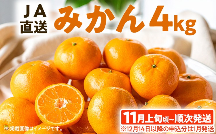 
                  期間限定 みかん フルーツ 果物 くだもの 4kg 柑橘 甘い 濃厚 ジューシー 産地直送 デザート おやつ オレンジ 福岡県 福岡 九州 グルメ お取り寄せ 【11月上旬頃から順次発送】
                