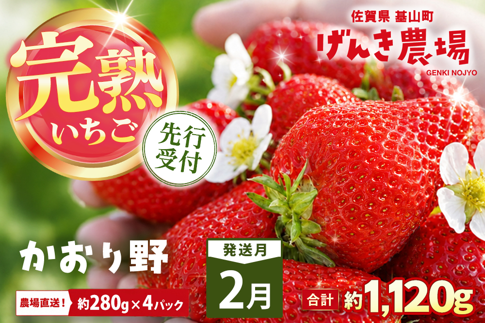 【2027年2月発送】【先行予約】【農場直送！】かおり野(約280g×4P)【ふるさと納税 佐賀県 基山町産 げんき農場 苺 ブランド苺 イチゴ いちご フルーツ 果物 くだもの 美味しい おいしい 