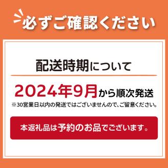 【予約：2024年9月から順次発送】日本一の生産地！北海道北見市の玉ねぎ 5kg！オニオンスープ2本付き♪ ( 玉葱 たまねぎ タマネギ オニオン スープ 即席 料理 )【164-0001-2024】