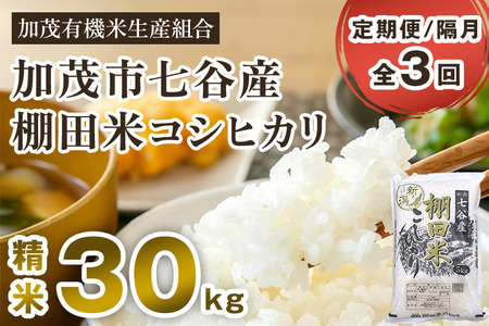 【令和7年産新米先行予約】【定期便3回隔月お届け】 七谷産 棚田米コシヒカリ 精米30kg（5kg×6）《10月中旬から順次出荷》 白米