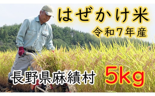 信州麻績産 はぜかけ米 数量限定 期間限定 5kg 自然乾燥 コシヒカリ 5kg 長野県 信州 麻績村 麻績