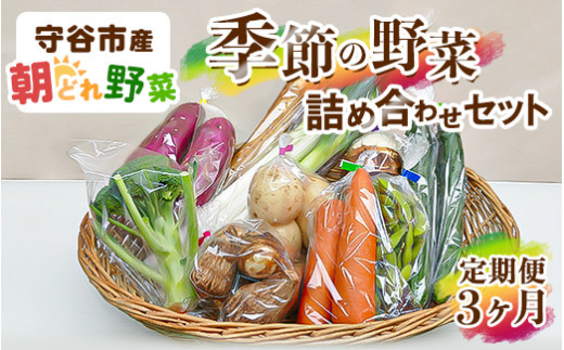 
【定期便】季節の野菜セット定期便
