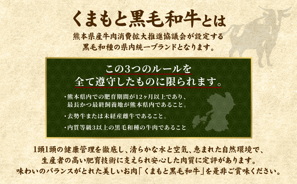くまもと 黒毛和牛 1ポンド ステーキ 約500g 牛肉 肉