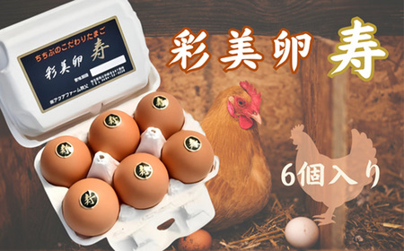 彩美卵　寿 No.267