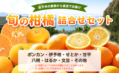 ＜fululy直送 柑橘詰合せセット 約3kg＞ 詰め合わせ 旬 食べ比べ おまかせ 果物 フルーツ 蜜柑 ポンカン 伊予柑 せとか 甘平 八朔 はるか 文旦 柑橘 贈答用 合同会社fululy 直送
