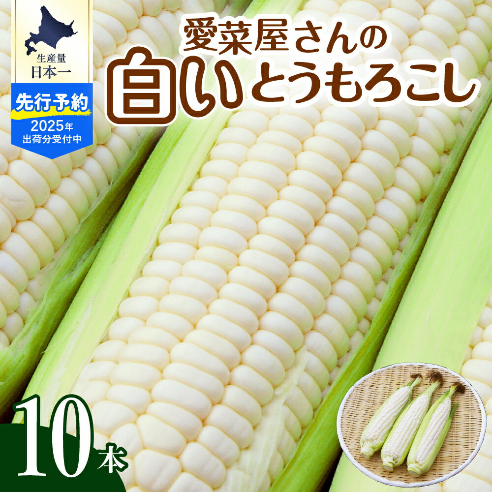 【ふるさと納税】【2025年産 先行予約】 北海道産 とうもろこし スイートコーン 10本 ホワイト 種 人気 キャンプ飯 BBQ アウトドア トウモロコシ とうきび コーン 甘い 野菜 白 北海道 十勝 芽室町 めむろ 送料無料 お取り寄せ 贈り物 ギフト 贈答 期間限定 先行受付