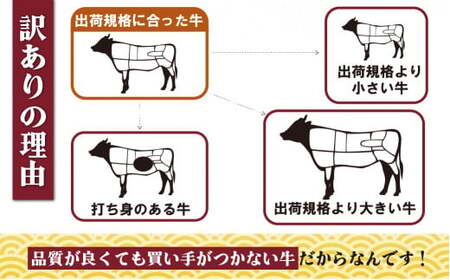 《定期便》 訳あり限定長崎県産和牛切り落とし総重量3kg(1000gを3回お届け)【佐世保食肉センター】 牛肉 和牛 切り落とし すき焼き 牛丼 訳あり 人気 訳あり 和牛 訳あり 