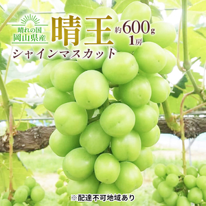 シャインマスカット 晴王 大粒種無し 岡山県産 シャインマスカット【1房 約600g】【先行予約】