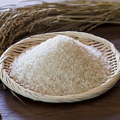 ふるさと納税 かすみがうら市 2025年新米 茨城県産コシヒカリ 精米 計10kg |  | 01