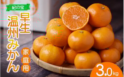 訳あり品 ご家庭用 たにぐち農園の早生温州みかん(マルチ栽培) 3kg【2025年11月中旬～12月中旬に順次発送】 / わけあり 訳あり ご家庭用 家庭用 不揃い 早生 温州 みかん 蜜柑