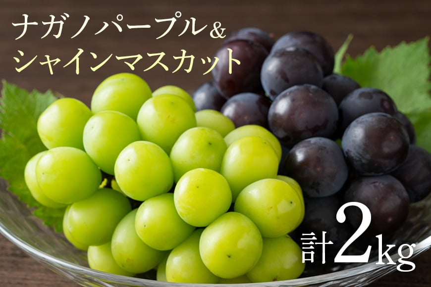 
            ナガノパープルとシャインマスカットの詰め合わせ2kg
          