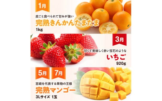 【 全6回定期便 】 デラックス 定期便 【奇数月】 【 川南町産 きんかん いちご 完熟 マンゴー ぶどう ピオーネ 赤肉 メロン 】[D11706t6]