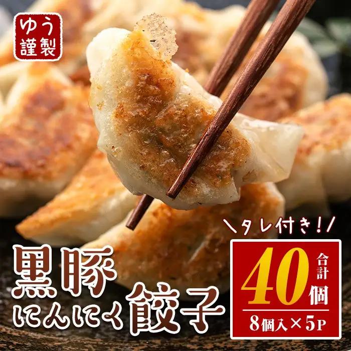 手づくり黒豚にんにく餃子 計50個(10個入り×5P) 特製餃子のタレ付き！