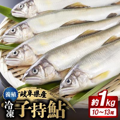 ふるさと納税 輪之内町 岐阜の鮎　冷凍子持鮎(約1kg:10〜13尾)