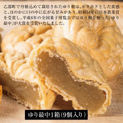 ふるさと納税 乙部町 【富貴堂　黒千石もなか 1箱(5個入)　ゆり最中 1箱(9個入)】　100%乙部町産ゆり根使用 |  | 02