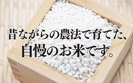 生命の農法（無化学農薬・無化学肥料栽培）もち米（3kg） | 米 こめ コメ もち米 もちごめ モチゴメ 奈良県 五條市 