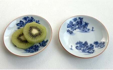有田焼 山水絵小皿セット（2枚1組）【起山窯】食器 うつわ 器 取り皿 小皿 山水絵 30000円 co015
