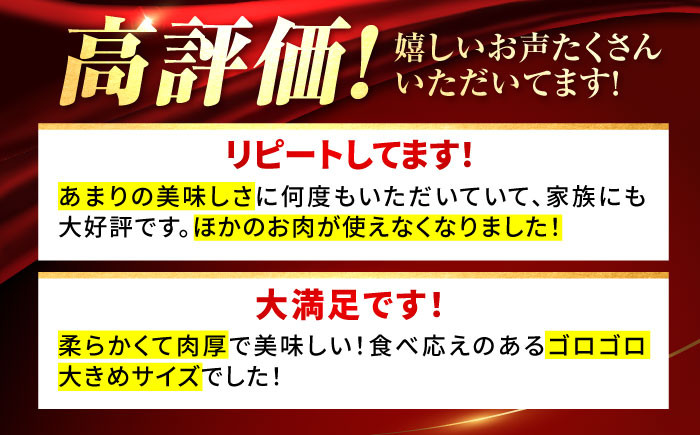 佐賀県産 しろいし牛 とろり 煮込み用 700g