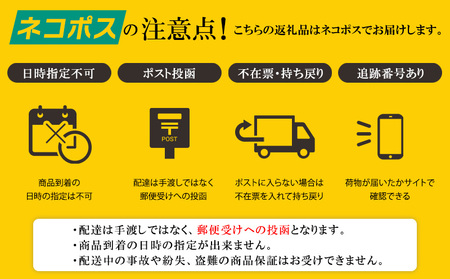 訳あり品！【名嘉真製菓本舗】ちんすこう お試し約500g お試し用 詰め合わせ 沖縄県産 北中城村産 訳ありちんすこう 沖縄のお菓子 お菓子 おかし わけあり お土産 おみやげ 沖縄土産 お試しセット