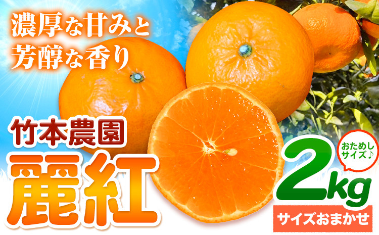 
麗紅 (れいこう) 2kg サイズ おまかせ《2025年2月中旬-4月下旬頃出荷》竹本農園 和歌山県 日高川町 旬 新鮮 果物 柑橘 フルーツ 国産 送料無料 お試し サイズ 2000g みかん
