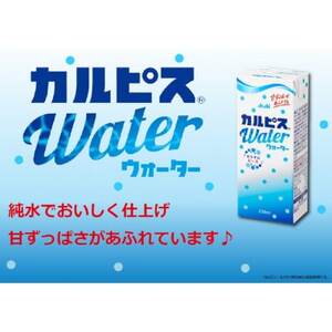 【毎月定期便】アサヒ飲料 「カルピスウォーター(R)」 紙パックスリム 250ml×24本全3回【4070340】