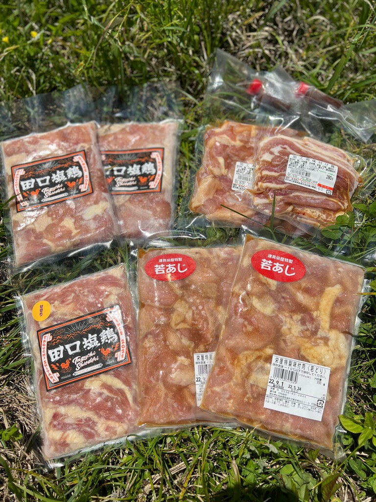 【ふるさと納税】設楽の味付け肉セット（冷凍発送）： 愛知県 設楽町 -020