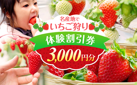 いちご狩り 体験割引券 3000円割引券