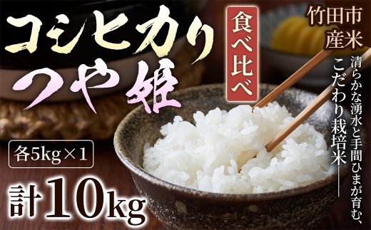 【 人気の2銘柄を食べ比べ！ 】 厳選国産米 2種セット 【 コシヒカリ × つや姫 】 （ 各5kg 計10kg ）